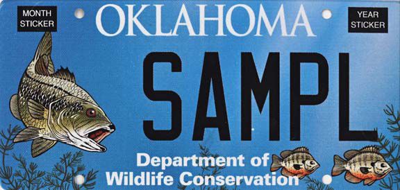 7. Wildlife conservation